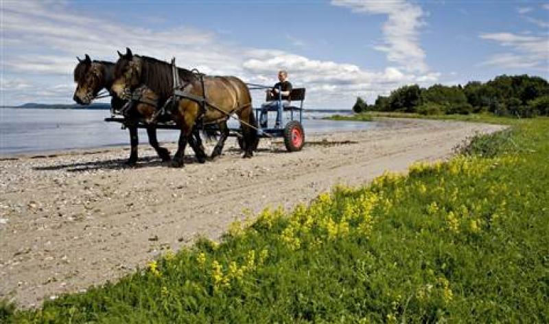 Egy hely, ahol már a börtön is öko