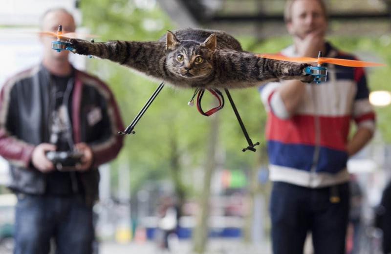 Halott állatokból készít helikoptereket egy őrült holland - videó!