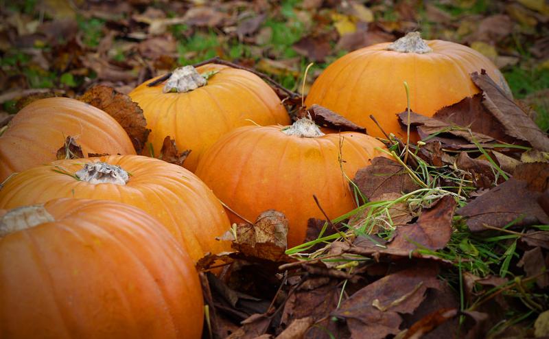 Így grillezd a halloween tököt